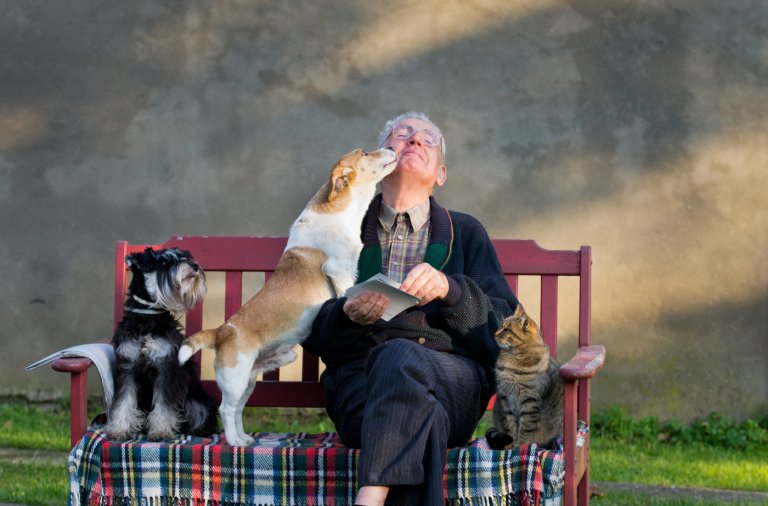 Senior sitzt mit Katze und Hunden auf Bank