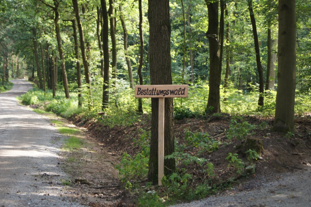 Schild Bestattungswald in Coswig