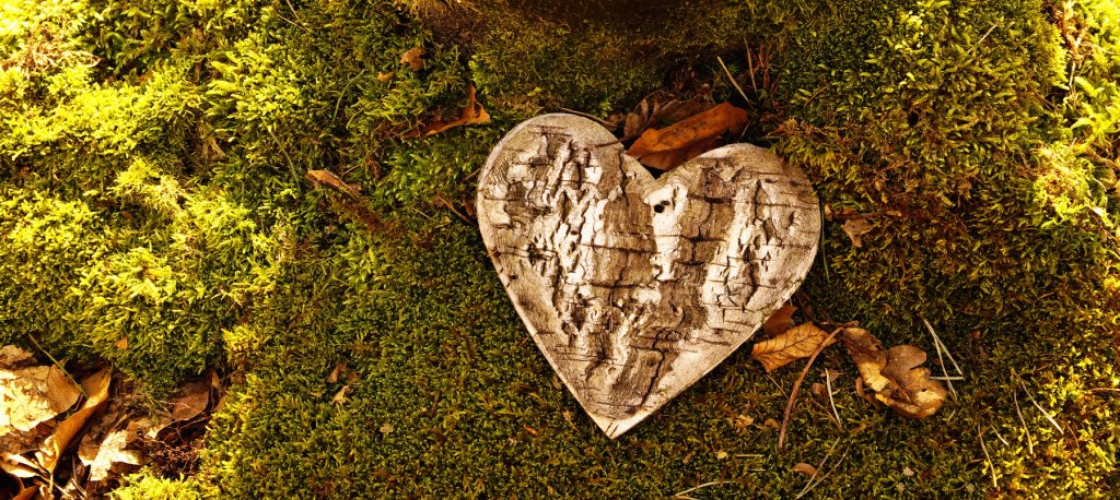 Ein Herz liegt auf dem Grab im Friedwald.