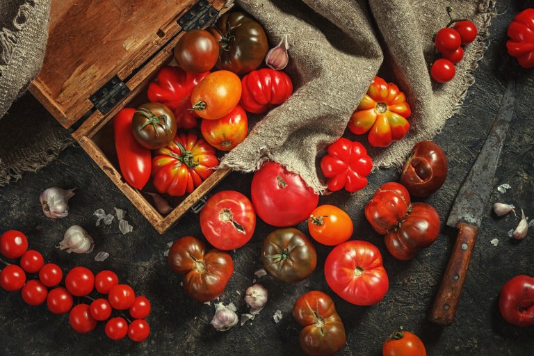 Unterschiedliche Tomatensorten, Marinda, Datteltomaten, San Marzano, Kumato, Pflaumentomaten, Ochsenherz. Foto: StockAdobe/ Ina Peters Photographie/Stocksy