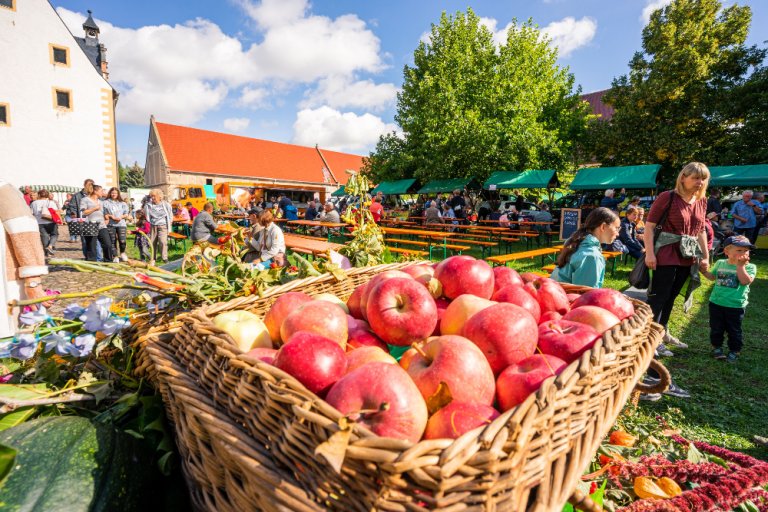 Äpfel und weitere landwirtschaftliche Produkte liegen in Körben auf dem Markt in Leisnig.