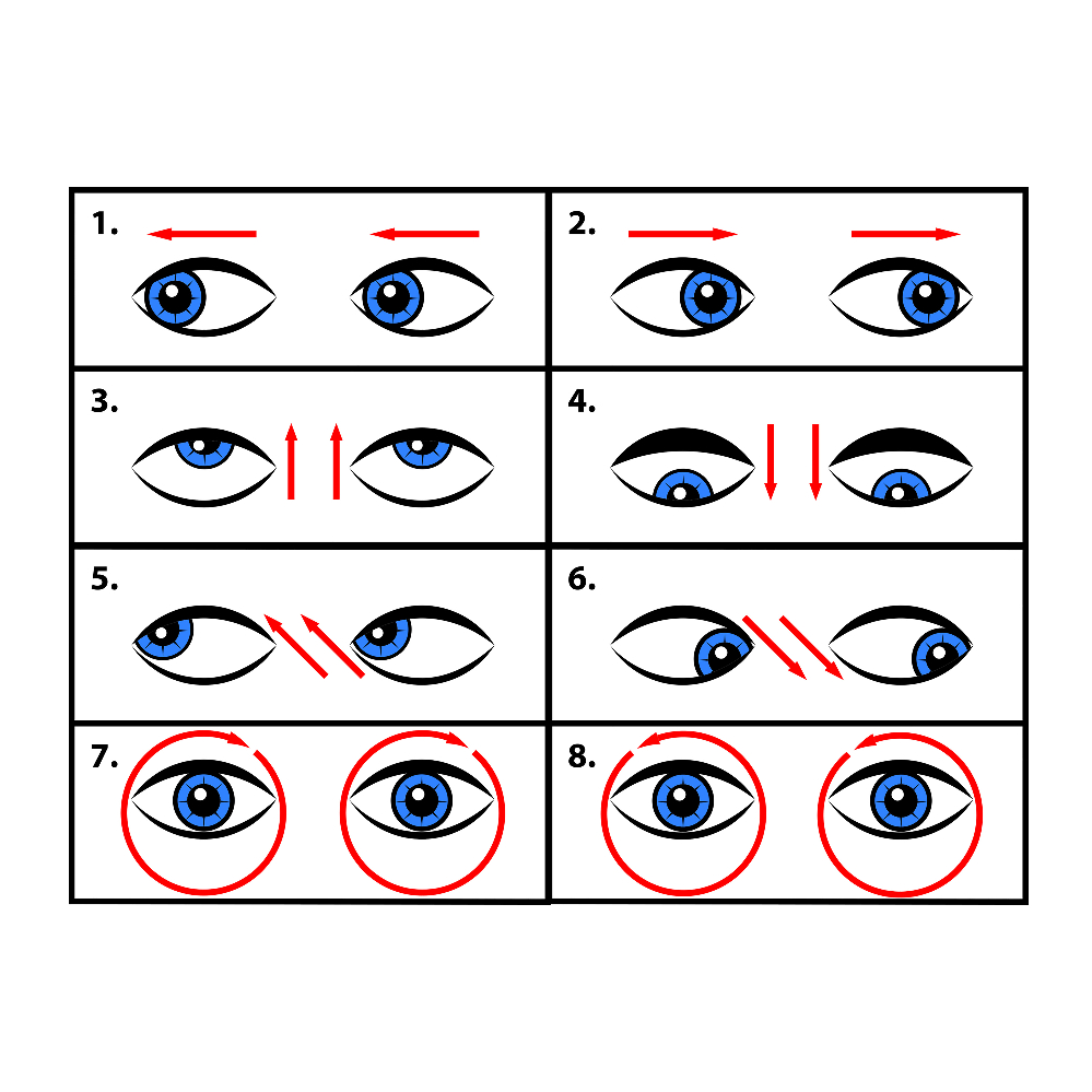 Grafik zeigt acht Augenübungen, um die Sehkraft zu stärken.