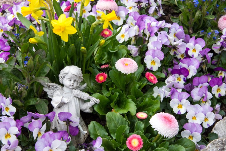 Frühlingsbluemen wie Narzissen, Veilchen auf einem Grab mit Porzellanengel und Geige.