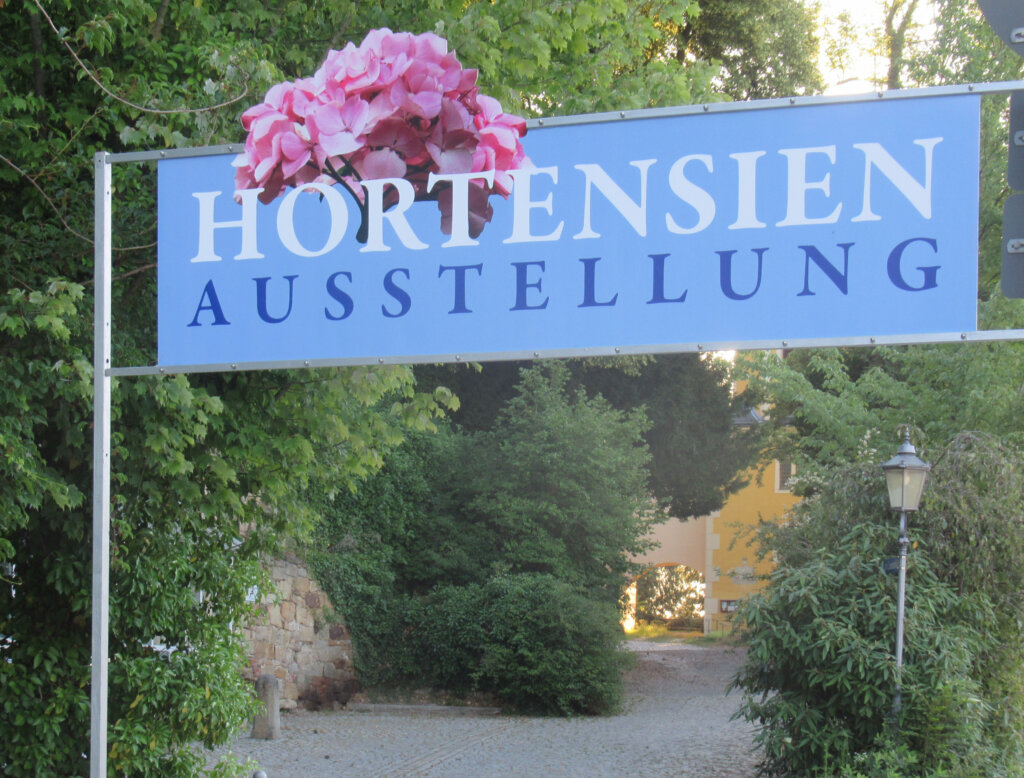 Hortensienschau Zuschendorf
